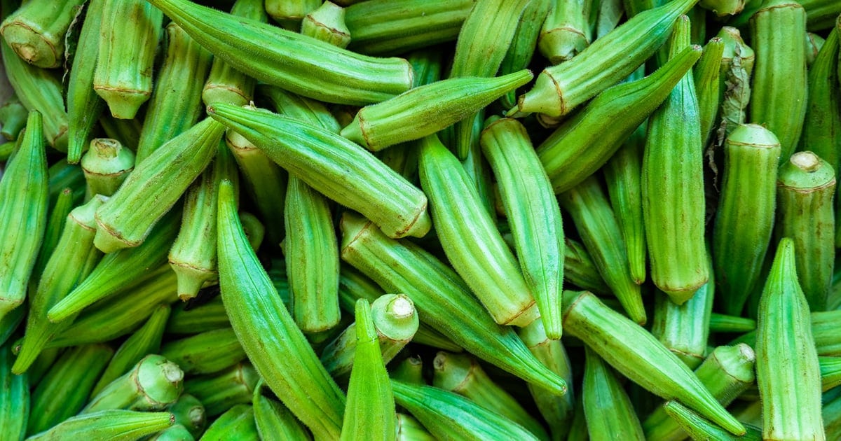 Okra Seeds