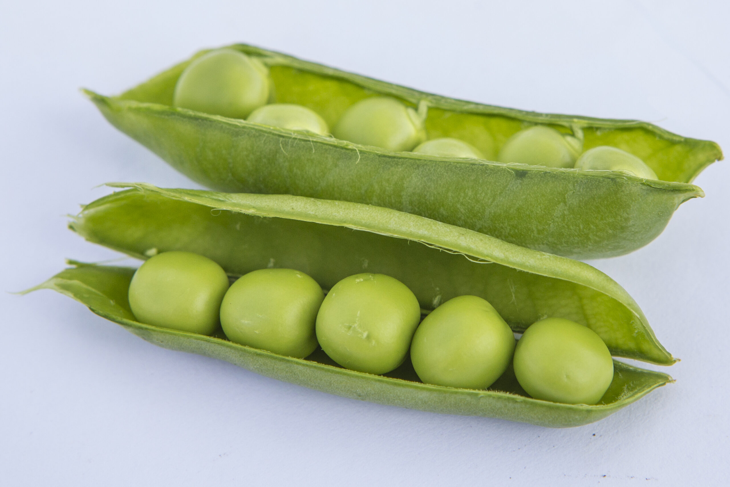 Peas Seeds