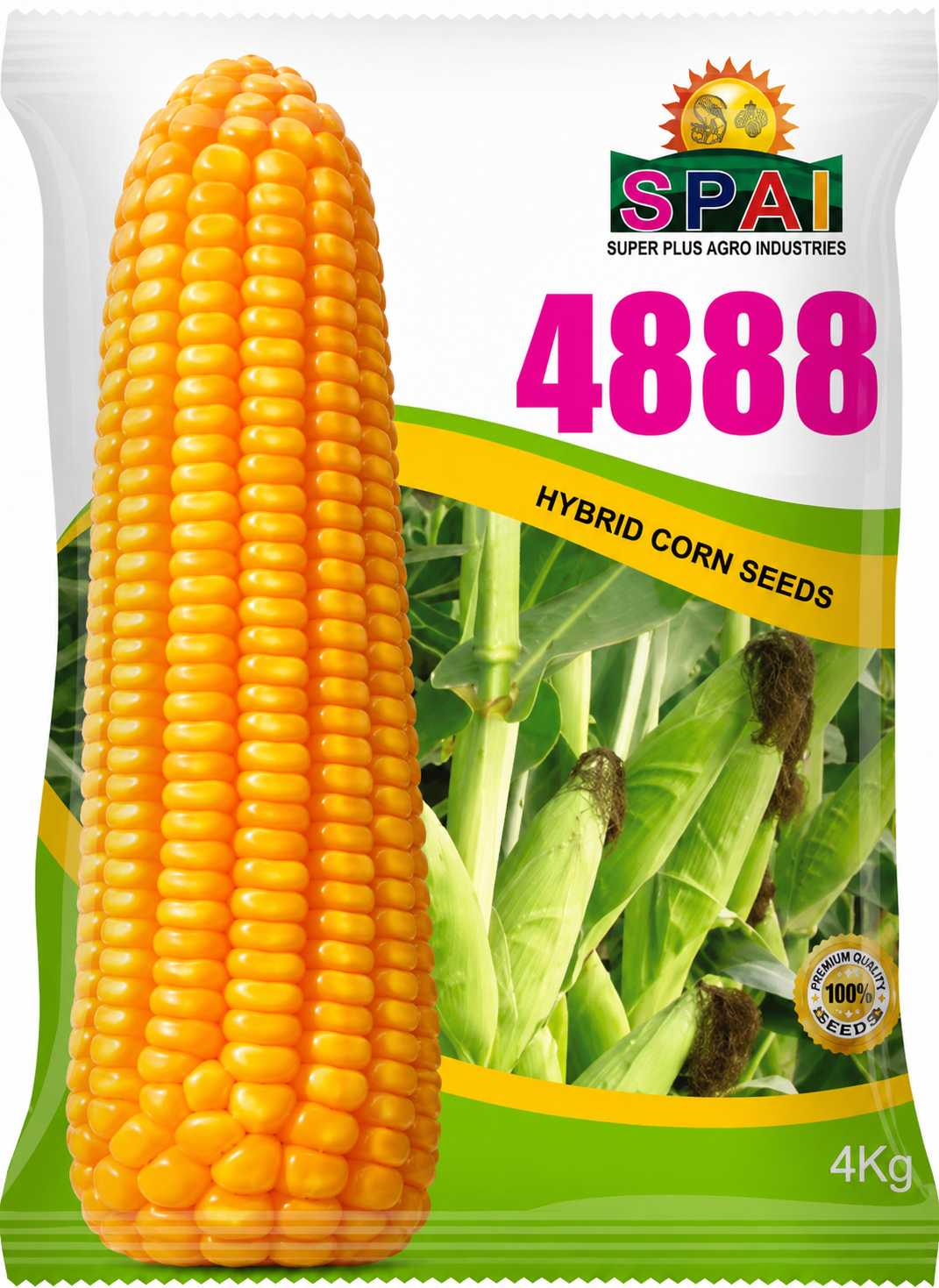 4888 Hybird Corn Seed