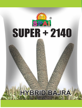 Super +2140 Hybird Bazra Seeds