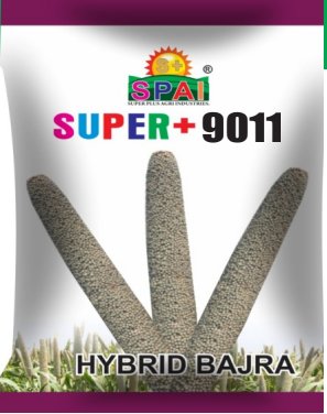 Super +9011 Hybird Bazra Seeds