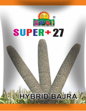 Super +27 Hybird Bazra Seeds