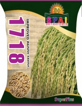Improved Paddy Seeds 1718