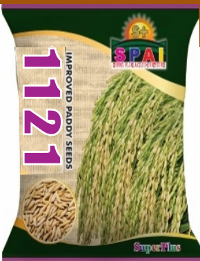 Improved Paddy Seeds 1121