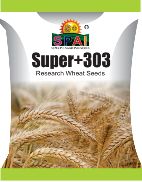 Super +303 Wheat Seeds