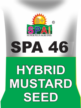 Mustard Seeds SPA 46