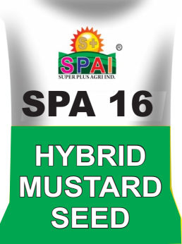 Mustard Seeds SPA 16