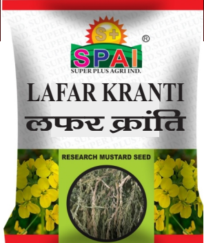 Mustard Seeds Lafar Kranti