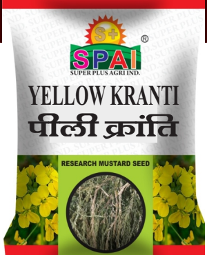 Mustard Seeds Yellow Kranti
