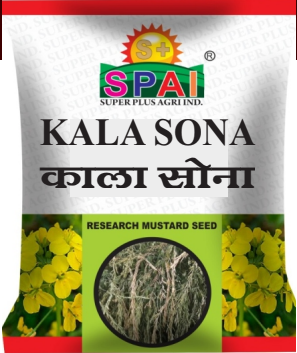 Mustard Seeds KALA SONA