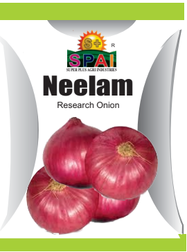 NEELAM Onion Seeds