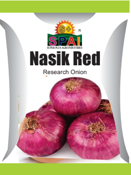 NASIK RED Onion Seeds