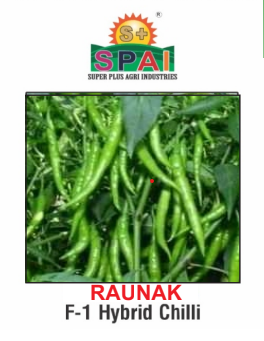 RAUNAK Chilli Seeds