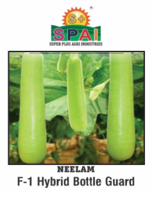 NEELAM Bottle Gourd Seeds