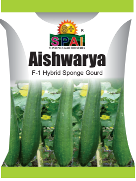 AISHWARYA Sponge Gourd Seeds