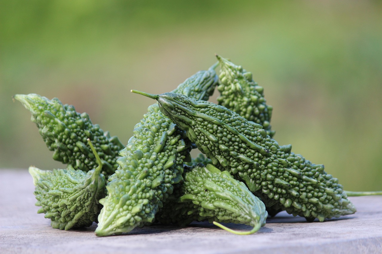 SHIVAM Bitter Gourd Seeds