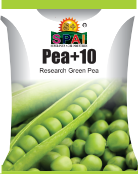 PEA+10 Peas Seeds